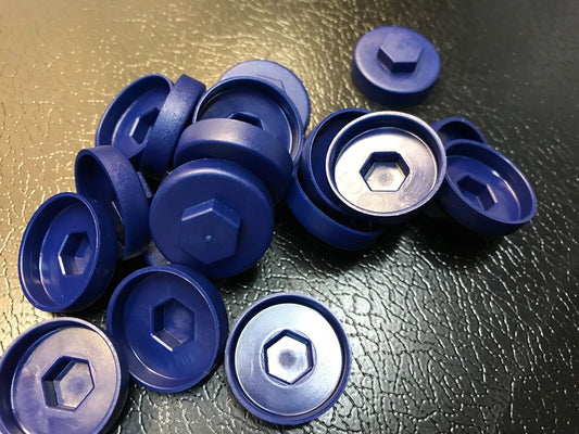 19mm Sargasso Blue Colour Caps 5/16 Hexagon Head (1000)